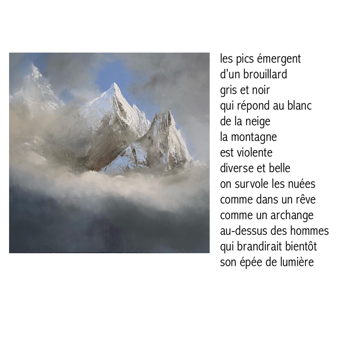 laurence gancel-pic neige brouillard-montage-1080