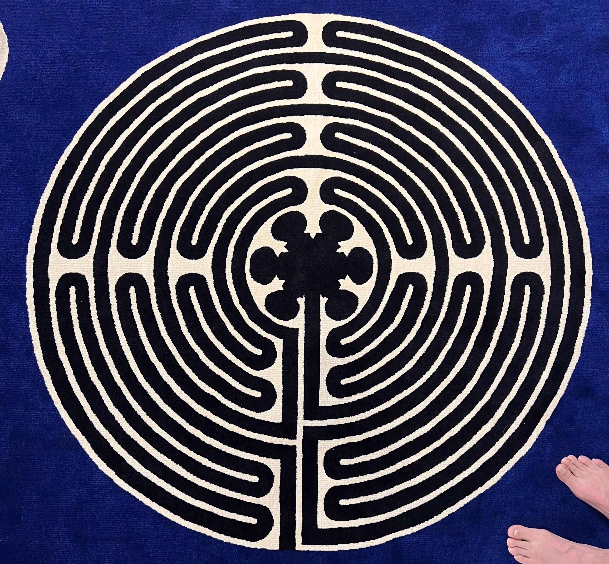 Marinus Boezem : Tapis velours (1998)