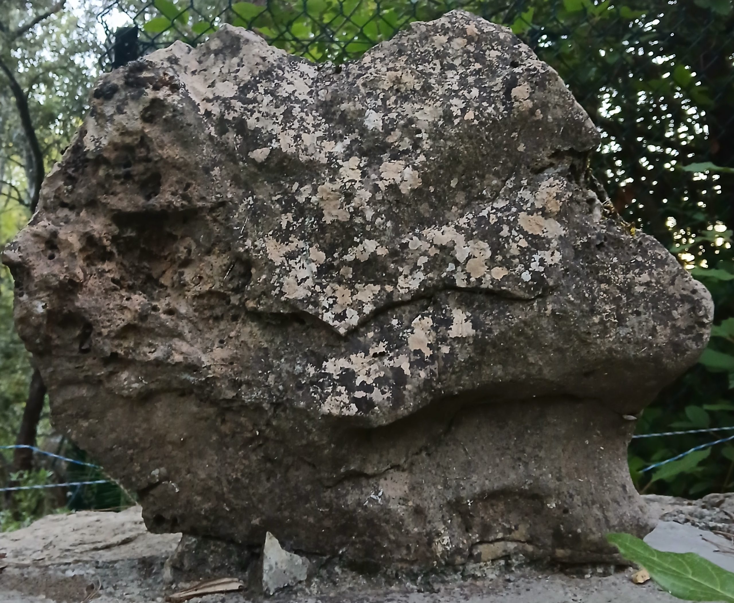 Nature : Tête de hibou en pierre