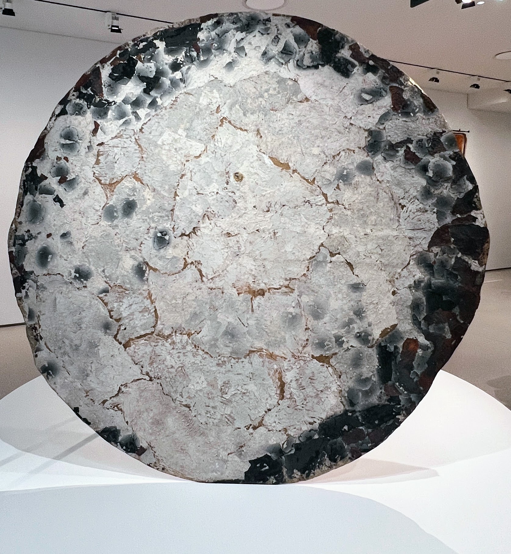 Galerie Fondation Cartier (exposition générale janvier 2026)